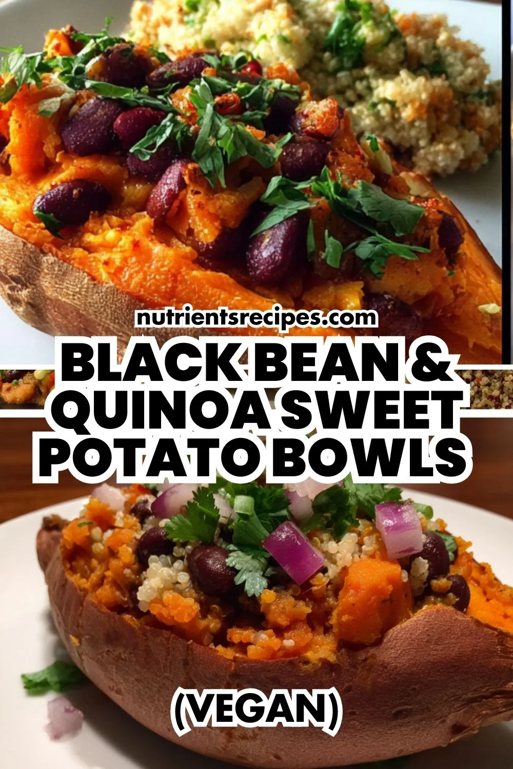 Vegan black bean and quinoa sweet potato stuffed bowl topped with avocado, cabbage, and lime wedge